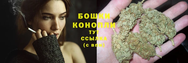 ГАЛЛЮЦИНОГЕННЫЕ ГРИБЫ Балахна