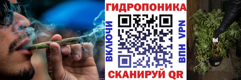 наркошоп  сайты даркнета наркотические препараты  Каннабис сатива  Волгореченск 